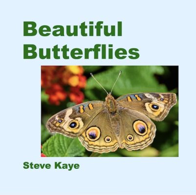 (c) Photo by Steve Kaye Cover for the Book, Beautiful Butterflies